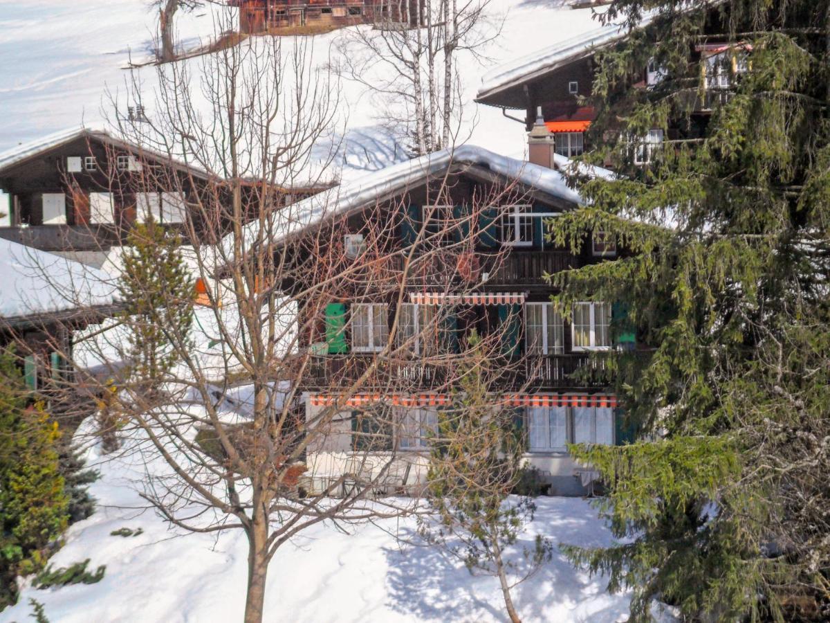 Apartment Chalet Spassvogel Grindelwald Exterior foto
