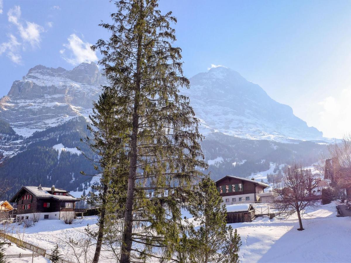 Apartment Chalet Spassvogel Grindelwald Exterior foto