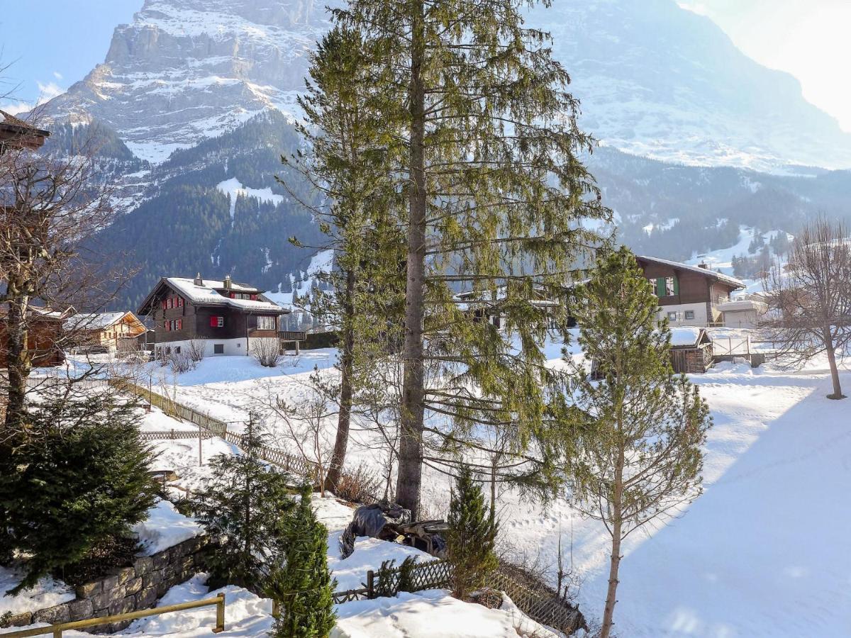 Apartment Chalet Spassvogel Grindelwald Exterior foto