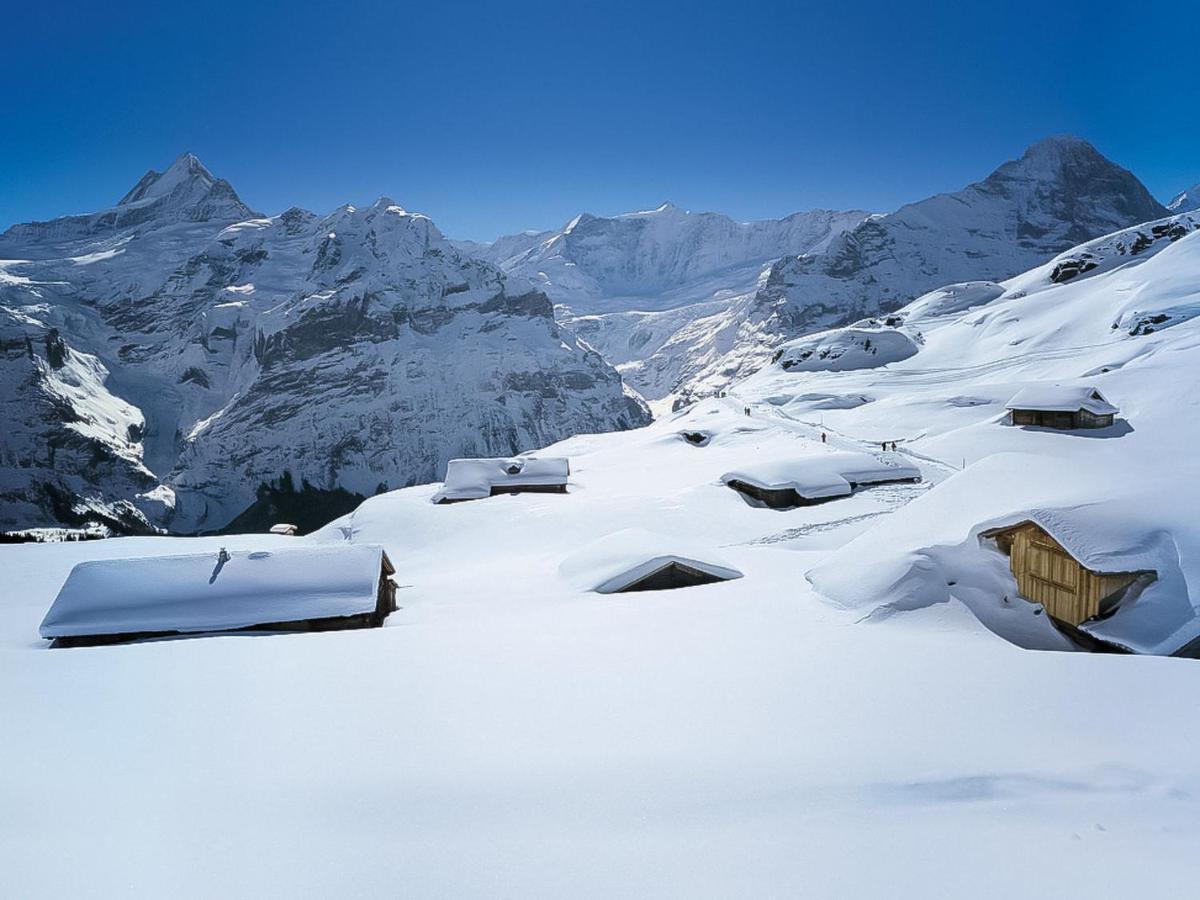 Apartment Chalet Spassvogel Grindelwald Exterior foto